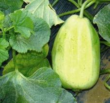 吃瓜投稿博网红吃瓜,网红吃瓜投稿,揭秘娱乐圈幕后风云 第2张 吃瓜投稿博网红吃瓜,网红吃瓜投稿,揭秘娱乐圈幕后风云 第2张