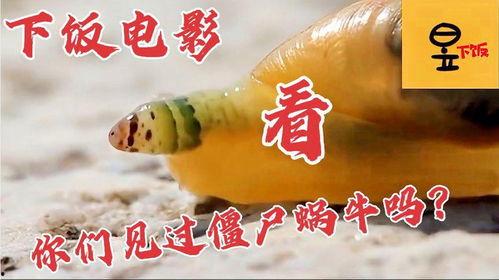 娱乐吃瓜牛片,吃瓜牛片背后的故事 第2张 娱乐吃瓜牛片,吃瓜牛片背后的故事 第2张