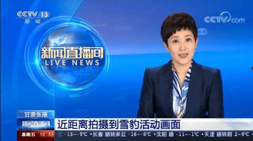 张掖新闻热线爆料电话 第2张 张掖新闻热线爆料电话 第2张